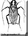 BLATTES.doc (74000 octets)